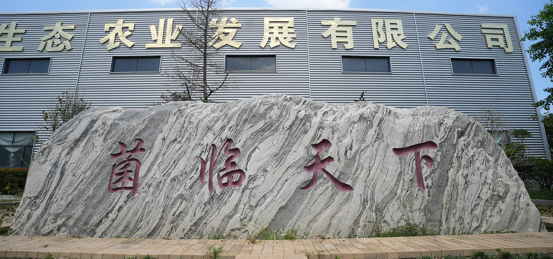 新闻中心