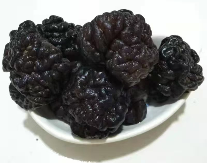 核桃菌
